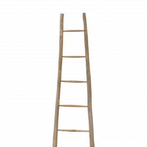 Log Ladder